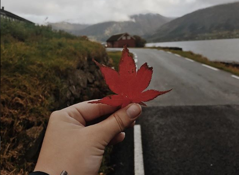 Langtur og linjeveker